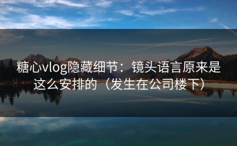 糖心vlog隐藏细节：镜头语言原来是这么安排的（发生在公司楼下）