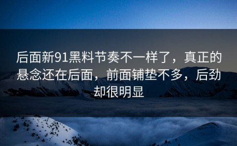 后面新91黑料节奏不一样了，真正的悬念还在后面，前面铺垫不多，后劲却很明显