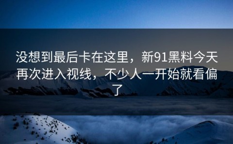没想到最后卡在这里，新91黑料今天再次进入视线，不少人一开始就看偏了