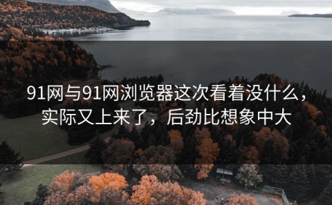 91网与91网浏览器这次看着没什么，实际又上来了，后劲比想象中大