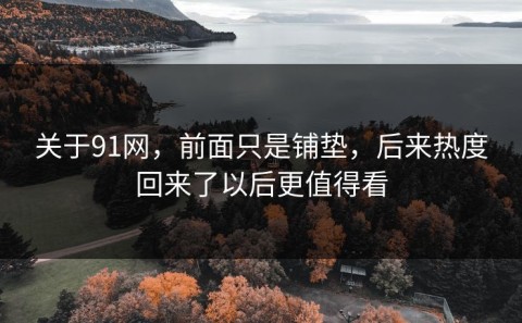 关于91网，前面只是铺垫，后来热度回来了以后更值得看