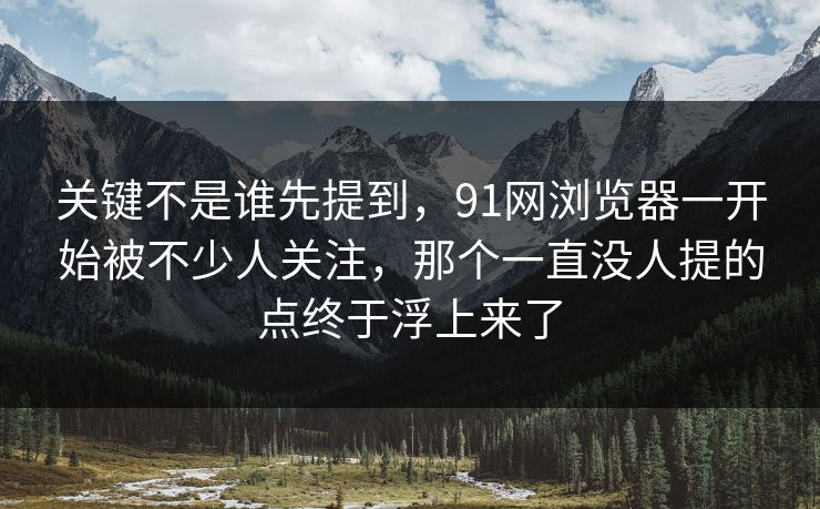 关键不是谁先提到，91网浏览器一开始被不少人关注，那个一直没人提的点终于浮上来了