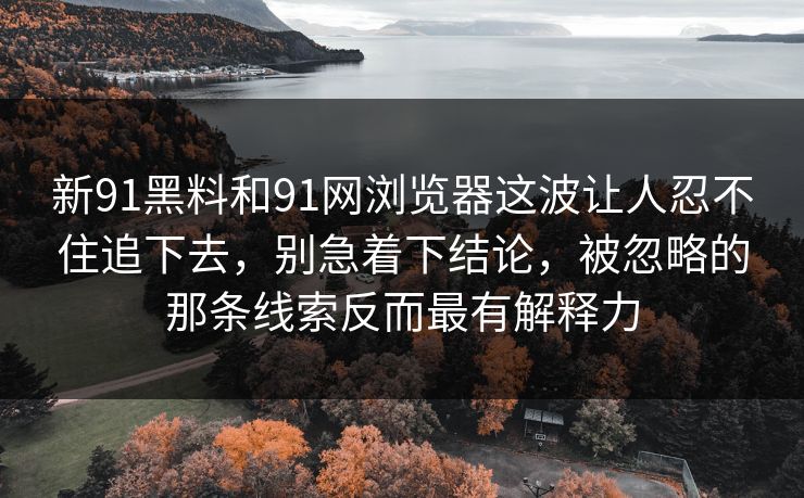新91黑料和91网浏览器这波让人忍不住追下去，别急着下结论，被忽略的那条线索反而最有解释力