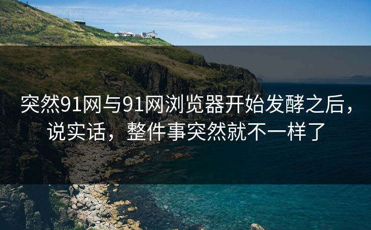 突然91网与91网浏览器开始发酵之后，说实话，整件事突然就不一样了