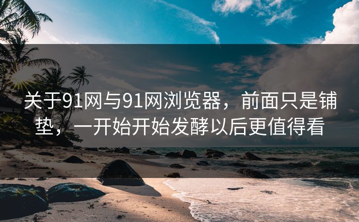 关于91网与91网浏览器，前面只是铺垫，一开始开始发酵以后更值得看