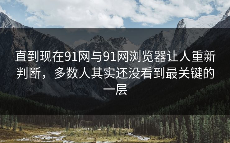 直到现在91网与91网浏览器让人重新判断，多数人其实还没看到最关键的一层